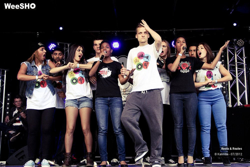 29/42 photos du spectacle Roots & Routes 2012
