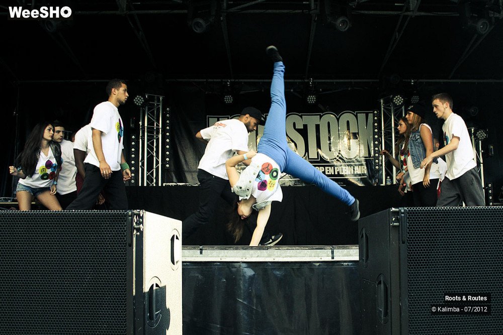 30/42 photos du spectacle Roots & Routes 2012