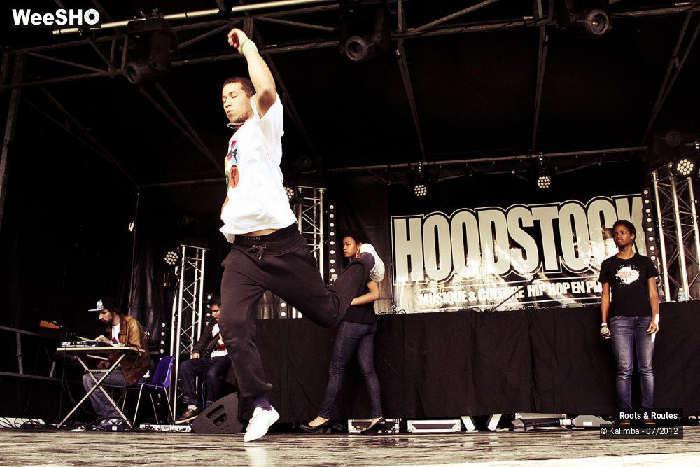 31/42 photos du spectacle Roots & Routes 2012