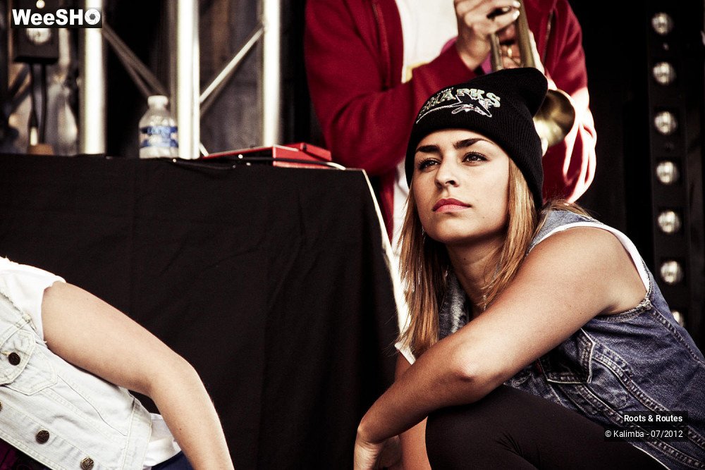 33/42 photos du spectacle Roots & Routes 2012