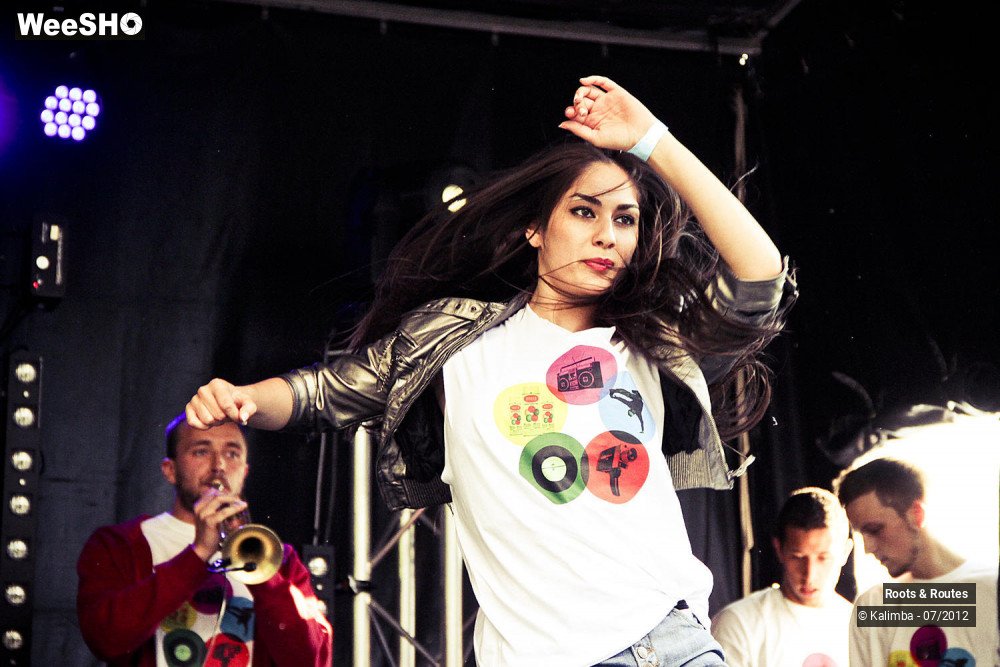 34/42 photos du spectacle Roots & Routes 2012