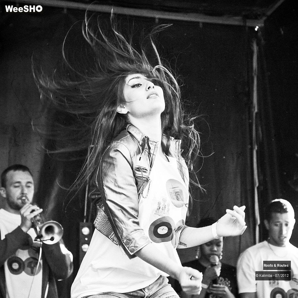 35/42 photos du spectacle Roots & Routes 2012