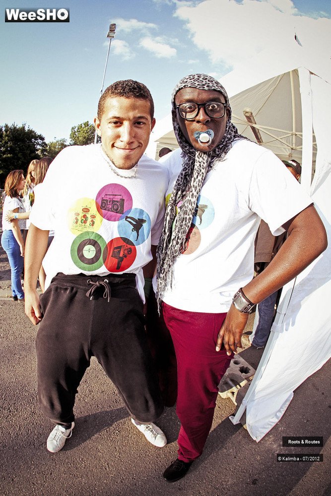 36/42 photos du spectacle Roots & Routes 2012