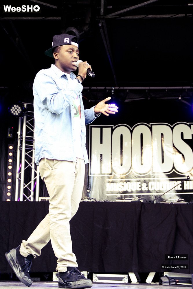 37/42 photos du spectacle Roots & Routes 2012