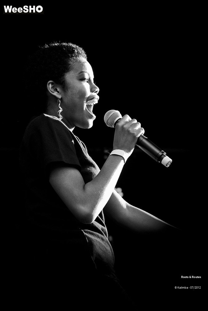 39/42 photos du spectacle Roots & Routes 2012