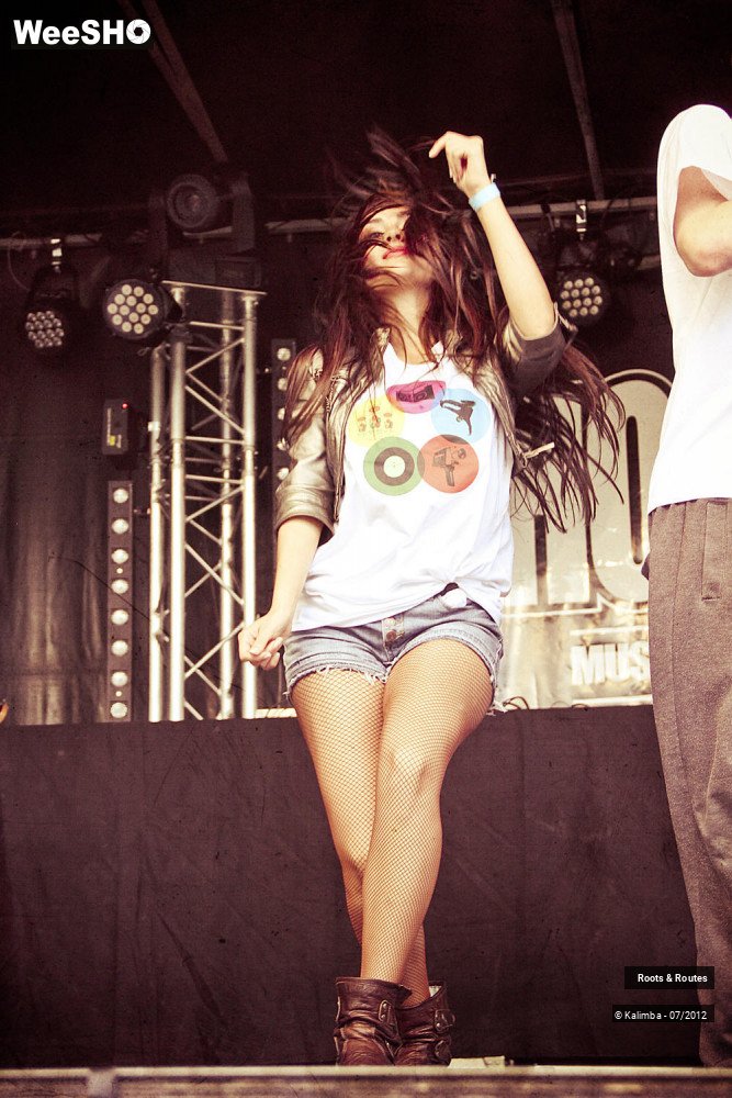 40/42 photos du spectacle Roots & Routes 2012