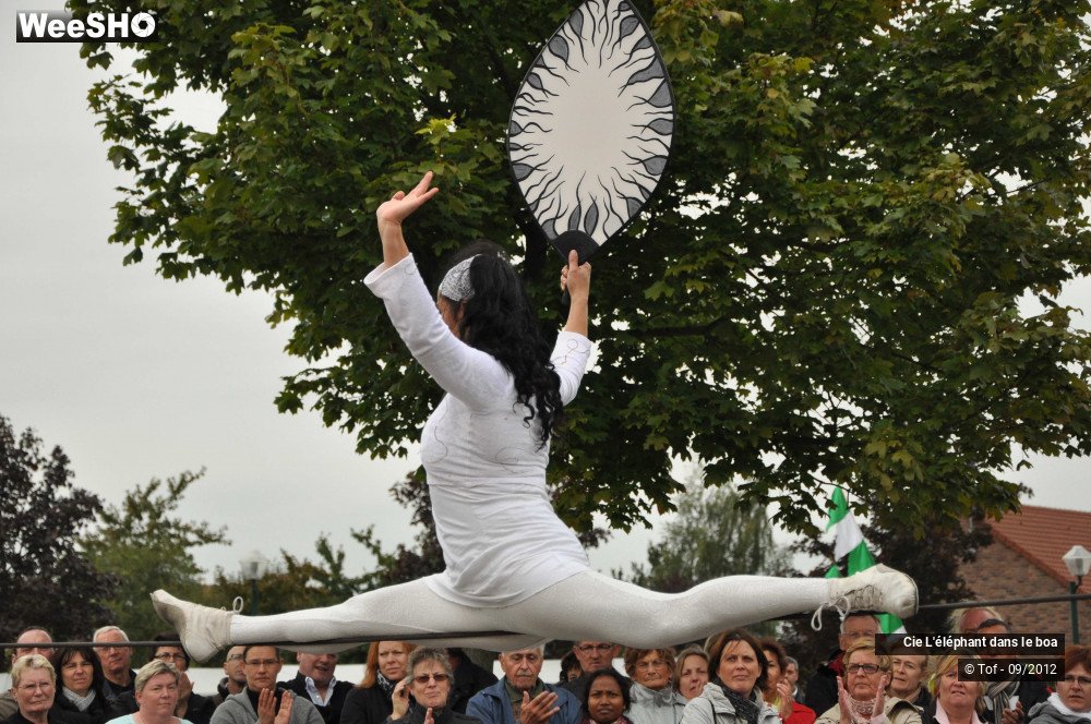 1/35 photos du spectacle Fantaisie Olympique