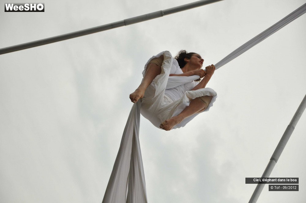 5/35 photos du spectacle Fantaisie Olympique