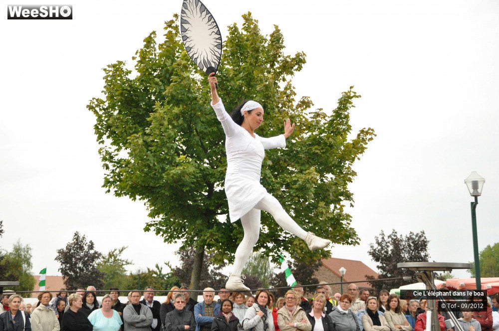 10/35 photos du spectacle Fantaisie Olympique