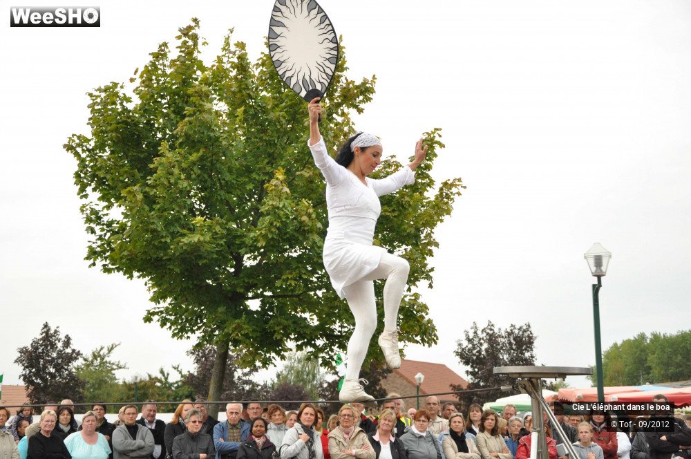 11/35 photos du spectacle Fantaisie Olympique