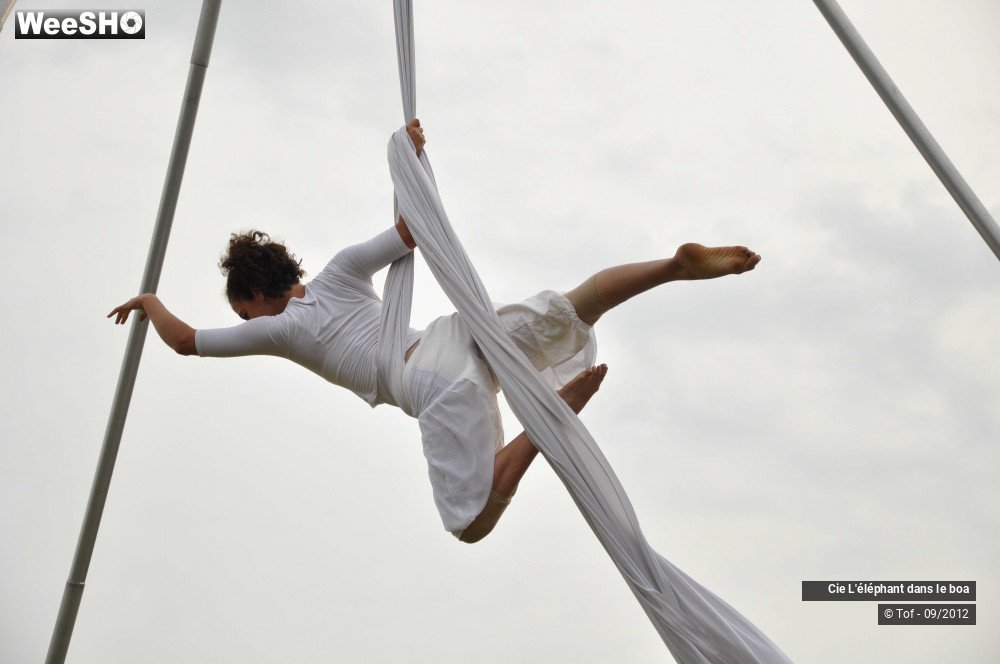 12/35 photos du spectacle Fantaisie Olympique