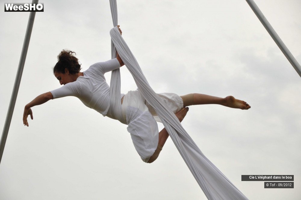 13/35 photos du spectacle Fantaisie Olympique