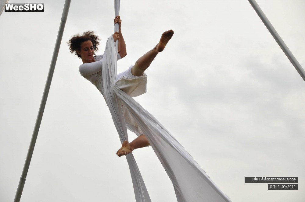 14/35 photos du spectacle Fantaisie Olympique