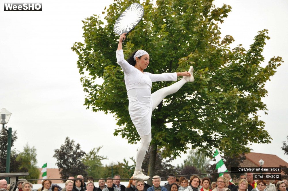 15/35 photos du spectacle Fantaisie Olympique