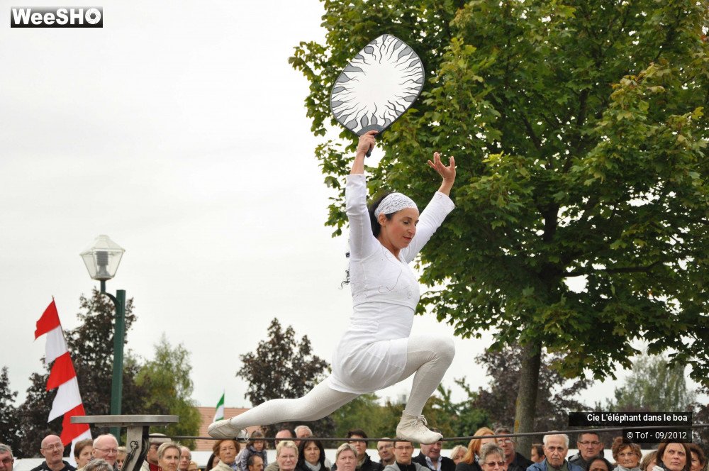 16/35 photos du spectacle Fantaisie Olympique