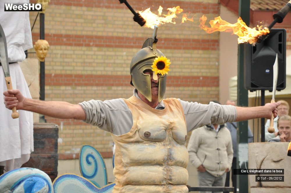 17/35 photos du spectacle Fantaisie Olympique