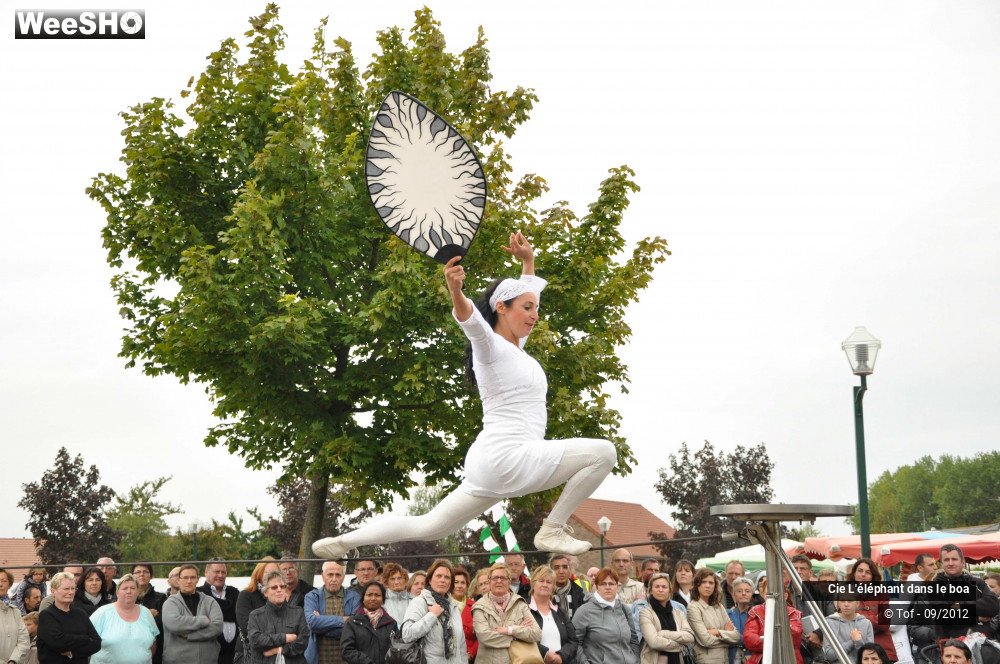 18/35 photos du spectacle Fantaisie Olympique