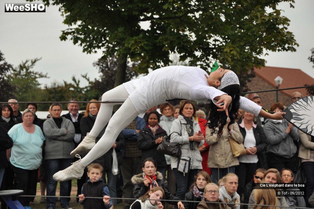 19/35 photos du spectacle Fantaisie Olympique