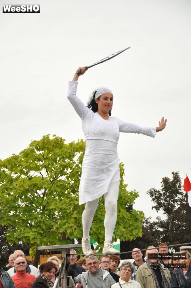 21/35 photos du spectacle Fantaisie Olympique