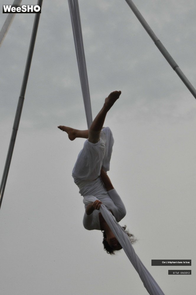 22/35 photos du spectacle Fantaisie Olympique