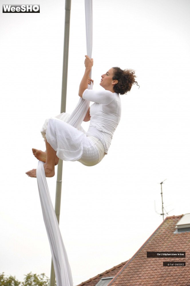 25/35 photos du spectacle Fantaisie Olympique