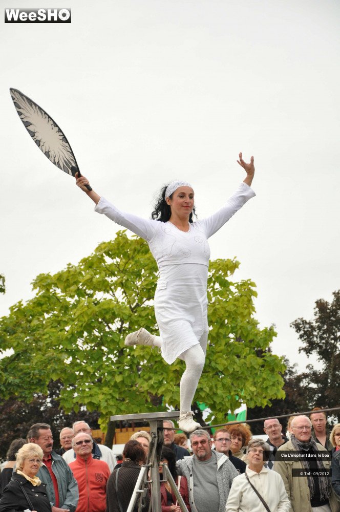 26/35 photos du spectacle Fantaisie Olympique