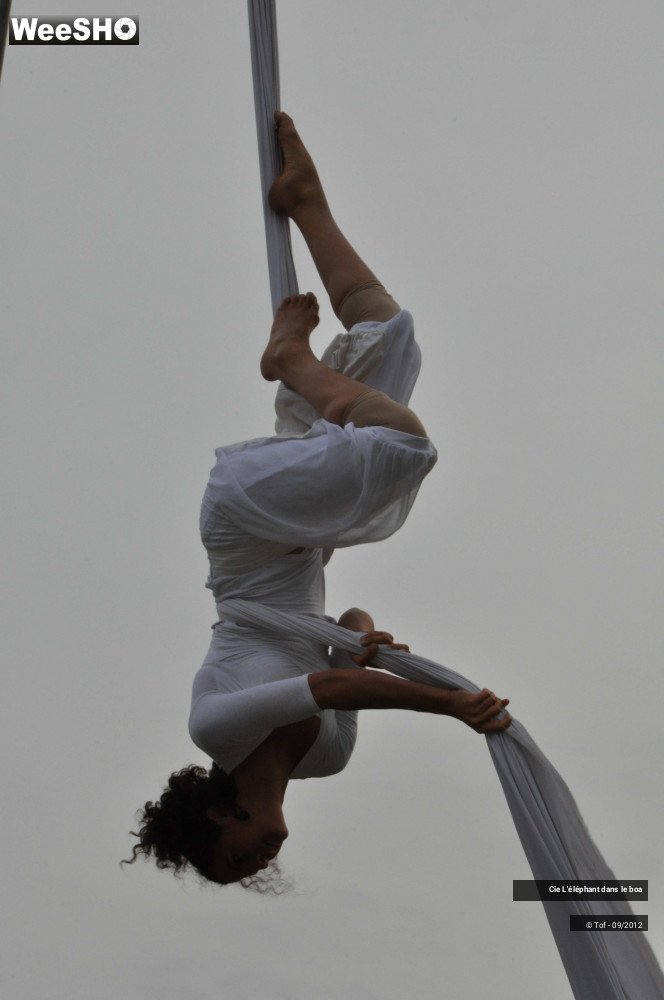 28/35 photos du spectacle Fantaisie Olympique