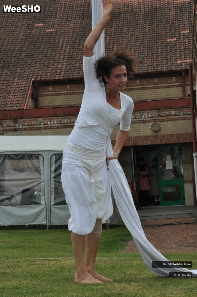 29/35 photos du spectacle Fantaisie Olympique