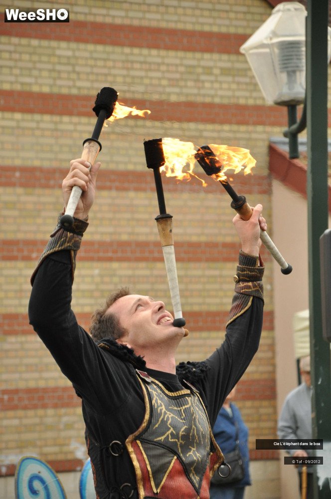 30/35 photos du spectacle Fantaisie Olympique