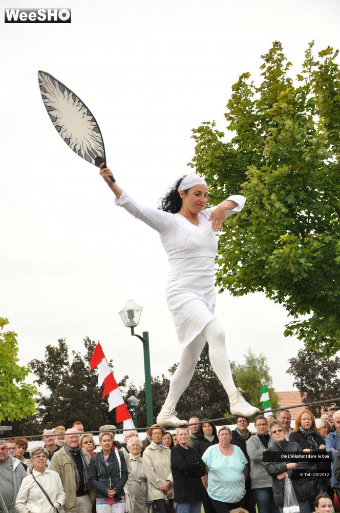 31/35 photos du spectacle Fantaisie Olympique