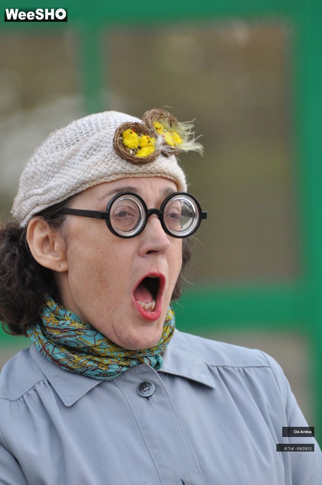 33/40 photos du spectacle Les têtes à claques