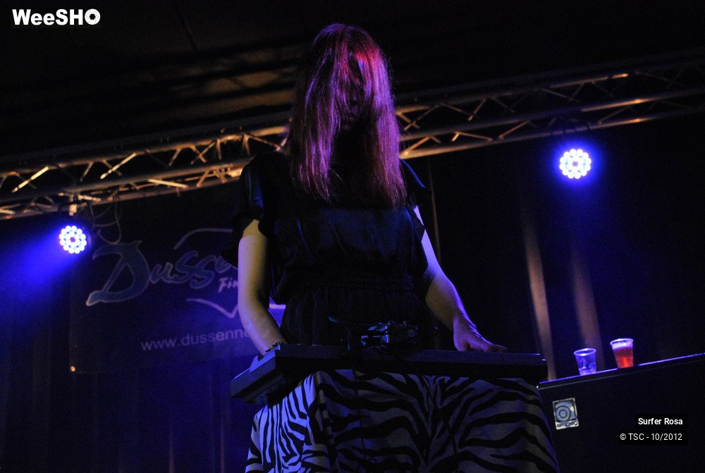 17/29 photos du spectacle Surfer Rosa