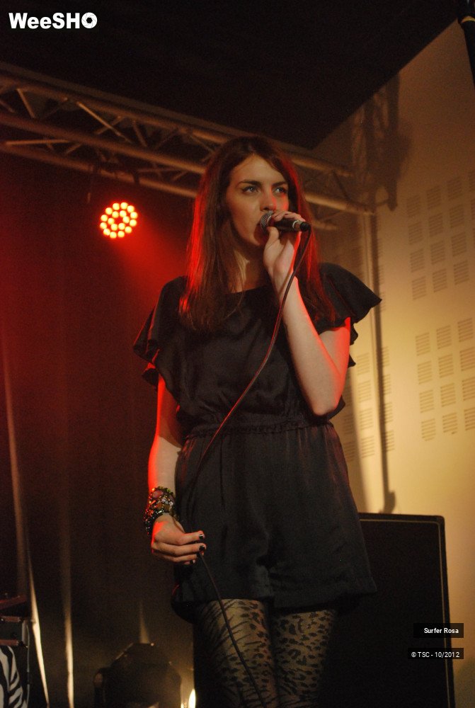 24/29 photos du spectacle Surfer Rosa