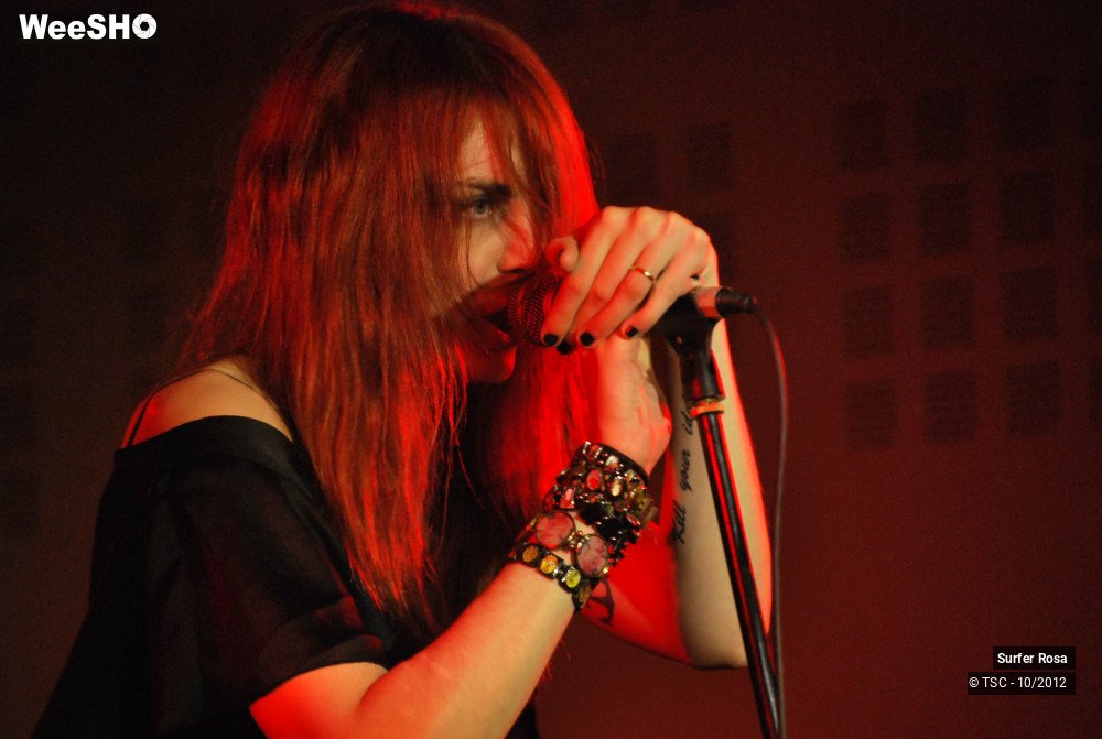 29/29 photos du spectacle Surfer Rosa