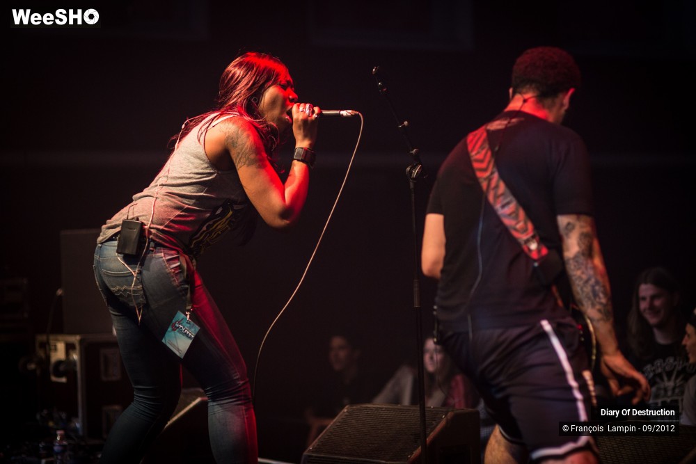 3/34 photos du spectacle Diary Of Destruction