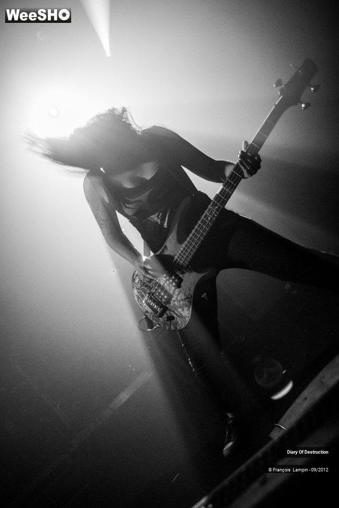 7/34 photos du spectacle Diary Of Destruction