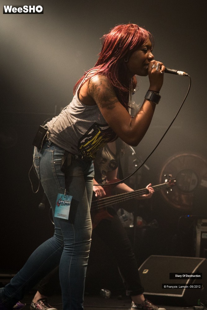 10/34 photos du spectacle Diary Of Destruction