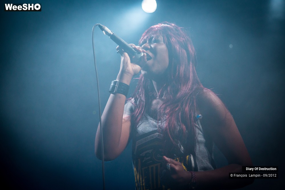 12/34 photos du spectacle Diary Of Destruction