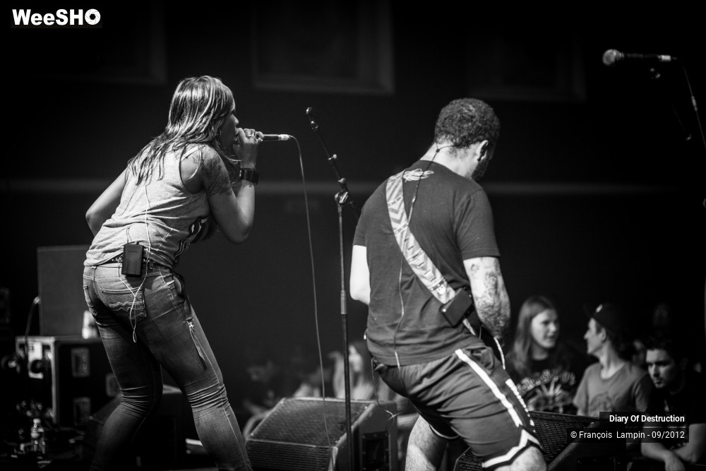 20/34 photos du spectacle Diary Of Destruction