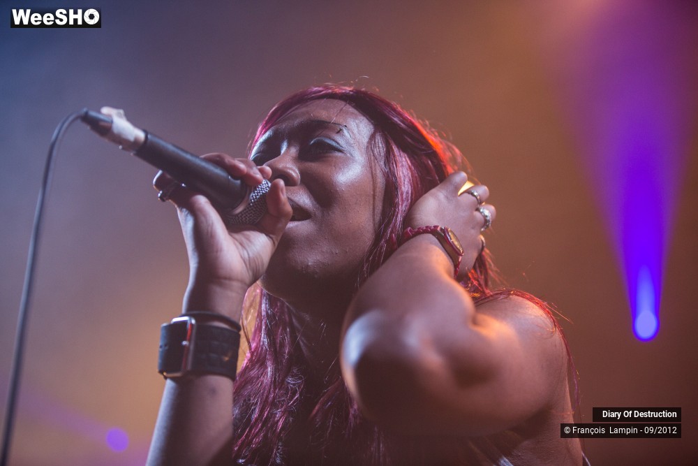 23/34 photos du spectacle Diary Of Destruction