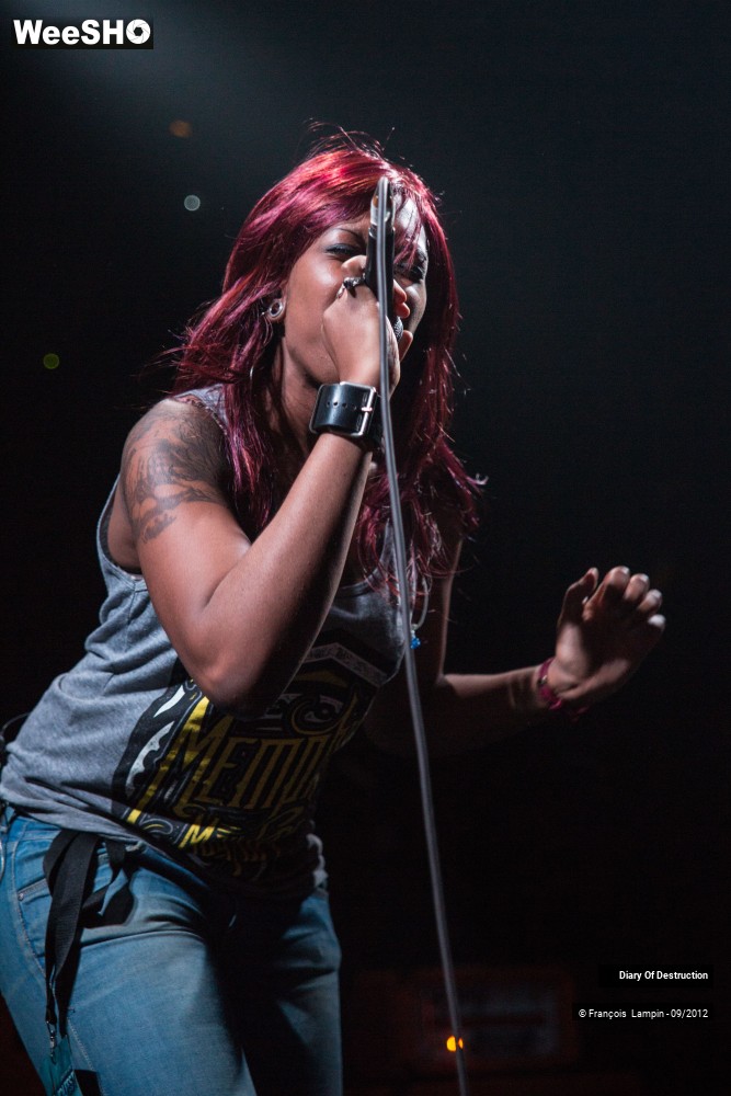 27/34 photos du spectacle Diary Of Destruction