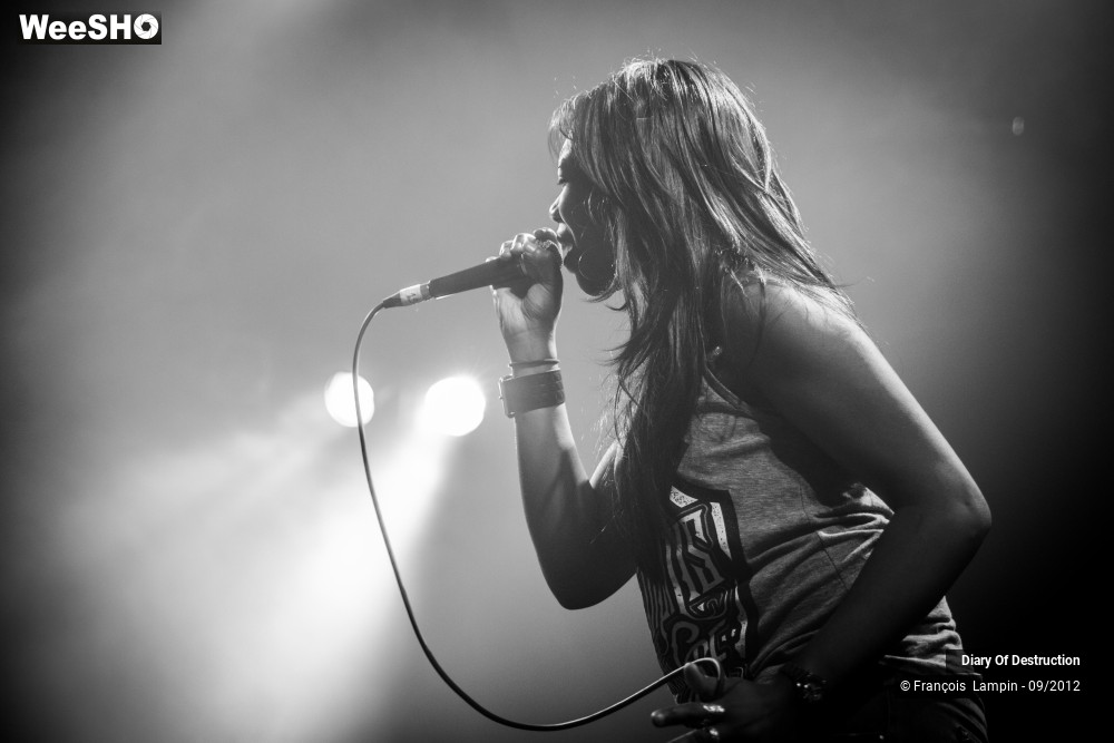 28/34 photos du spectacle Diary Of Destruction