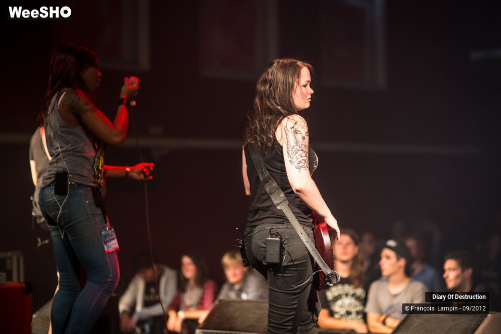 30/34 photos du spectacle Diary Of Destruction