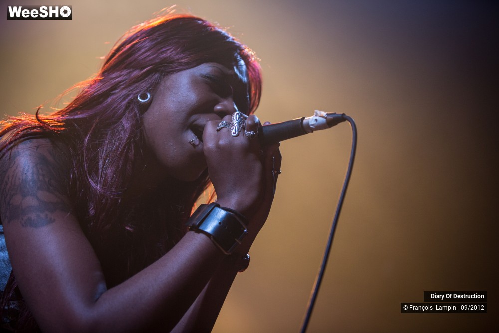 31/34 photos du spectacle Diary Of Destruction