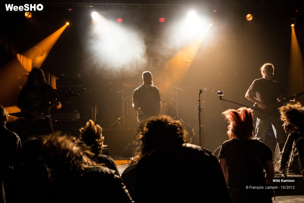 23/30 photos du spectacle Wild