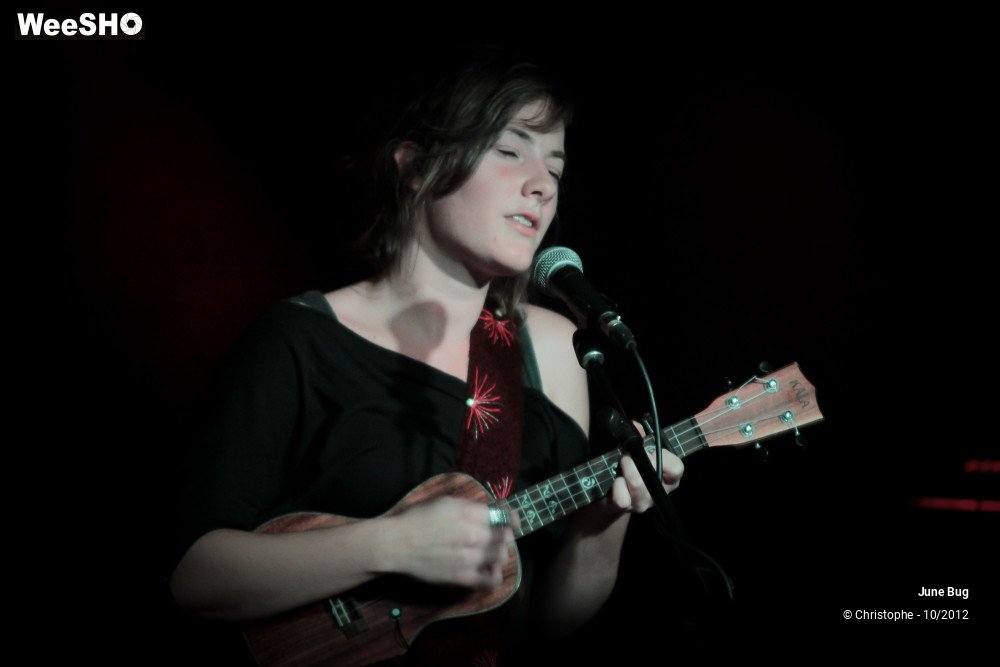 1/26 photos du spectacle June bug & the storytellers