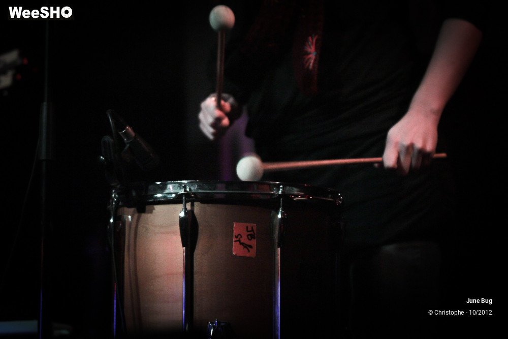 2/26 photos du spectacle June bug & the storytellers