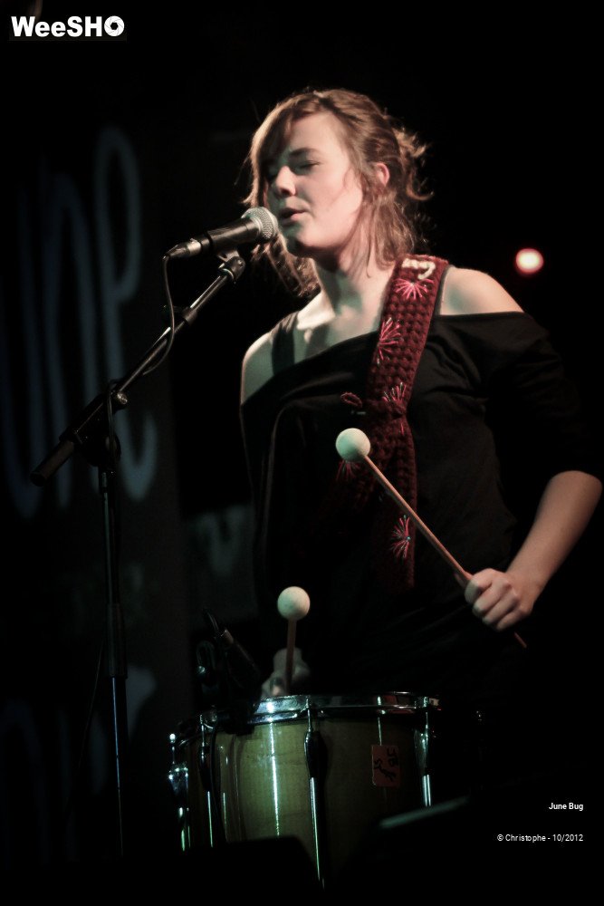 16/26 photos du spectacle June bug & the storytellers