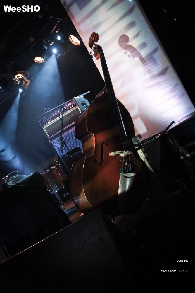 19/26 photos du spectacle June bug & the storytellers