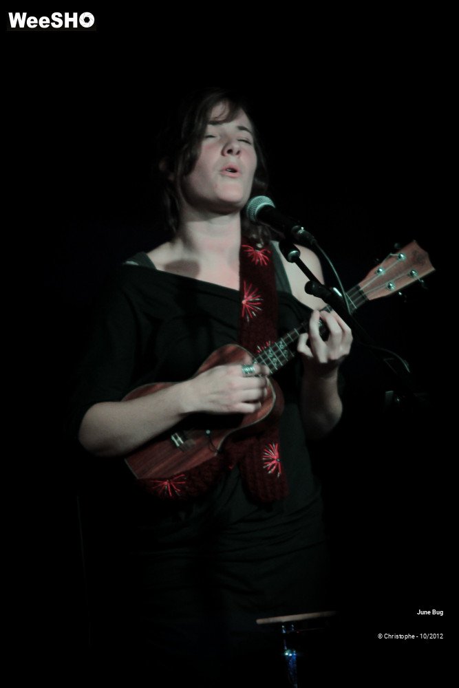 22/26 photos du spectacle June bug & the storytellers